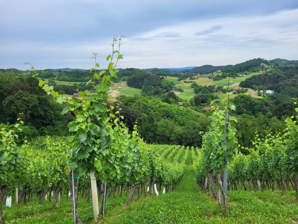 Pročitajte više o članku Dopunska izobrazba o sigurnom rukovanju s pesticidima