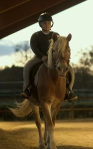 Život bez predaje – Tino Šereg